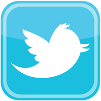 twitter bird icon logo vector 400x400 Контакты